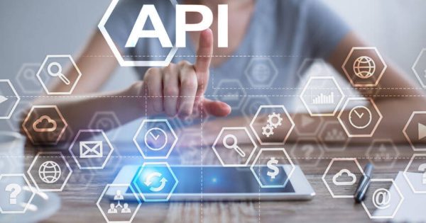 APIを活用した効果的な事業展開とは～デジタル時代の企業戦略～