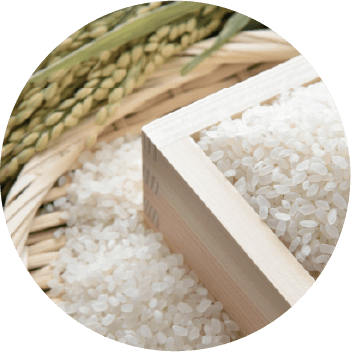 喜多方産 米10kg